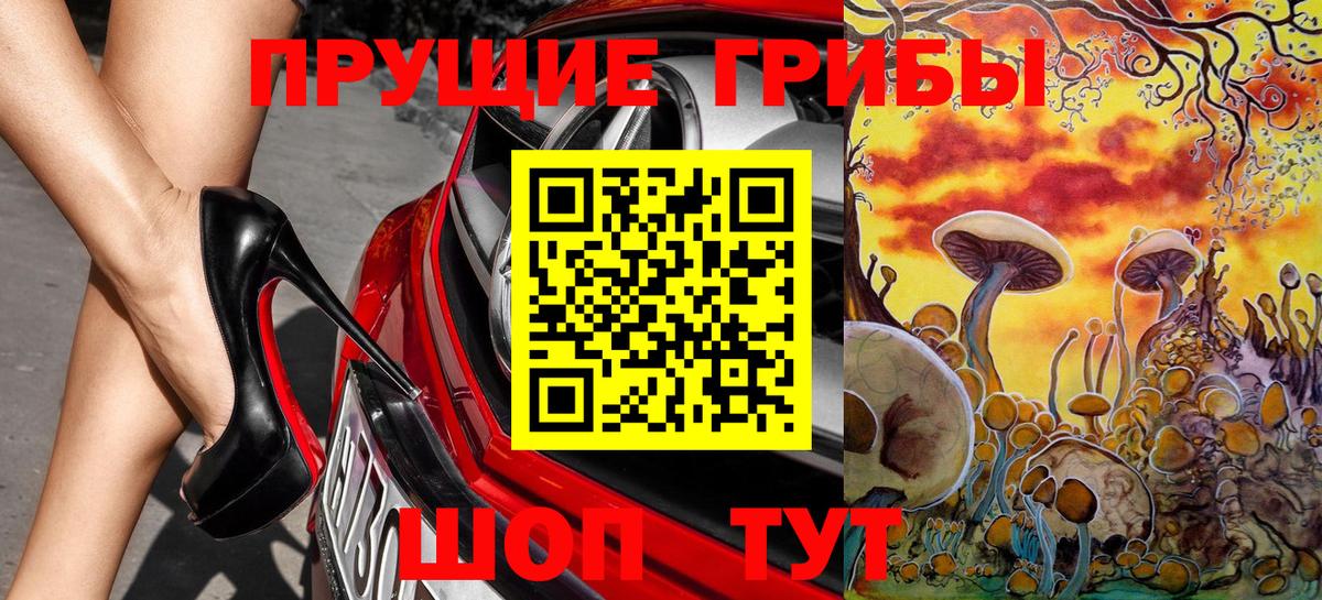 Галлюциногенные грибы Psilocybine cubensis Дубна